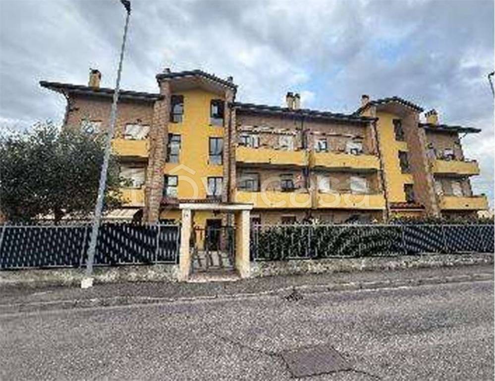 immagine annuncio 10 di 14