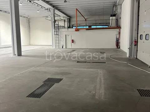 immagine annuncio 8 di 14