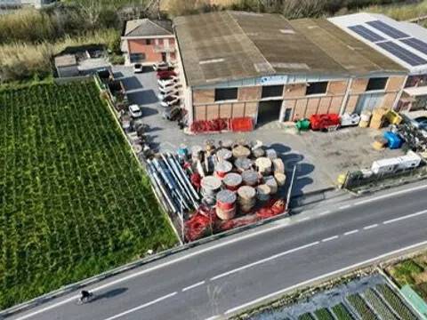 immagine annuncio 5 di 11