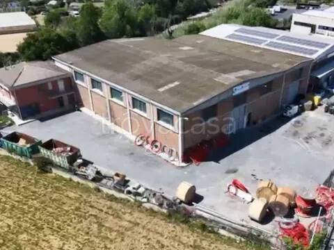 immagine annuncio 8 di 11