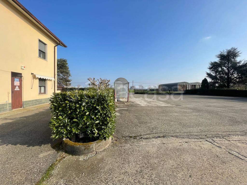 immagine annuncio 2 di 4