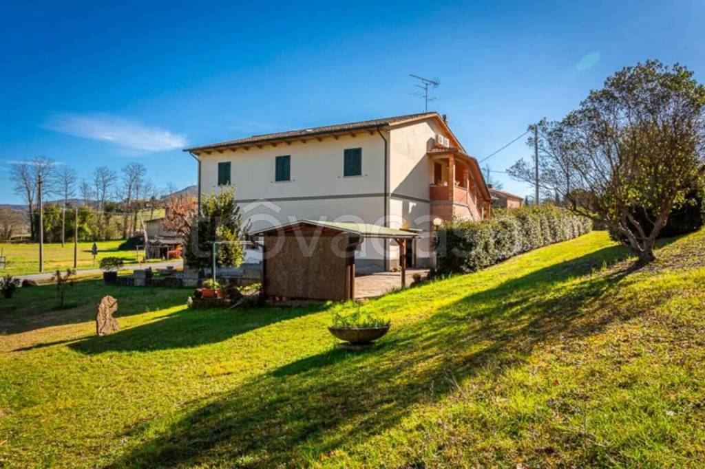 immagine annuncio 9 di 13