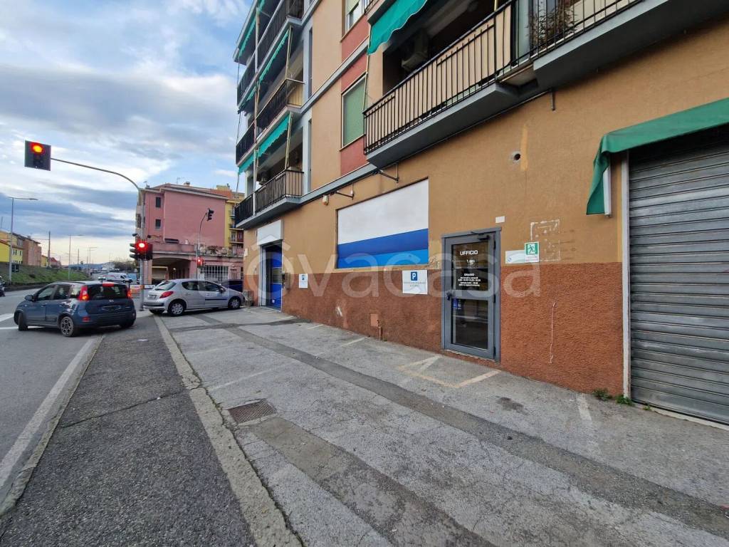 immagine annuncio 6 di 12
