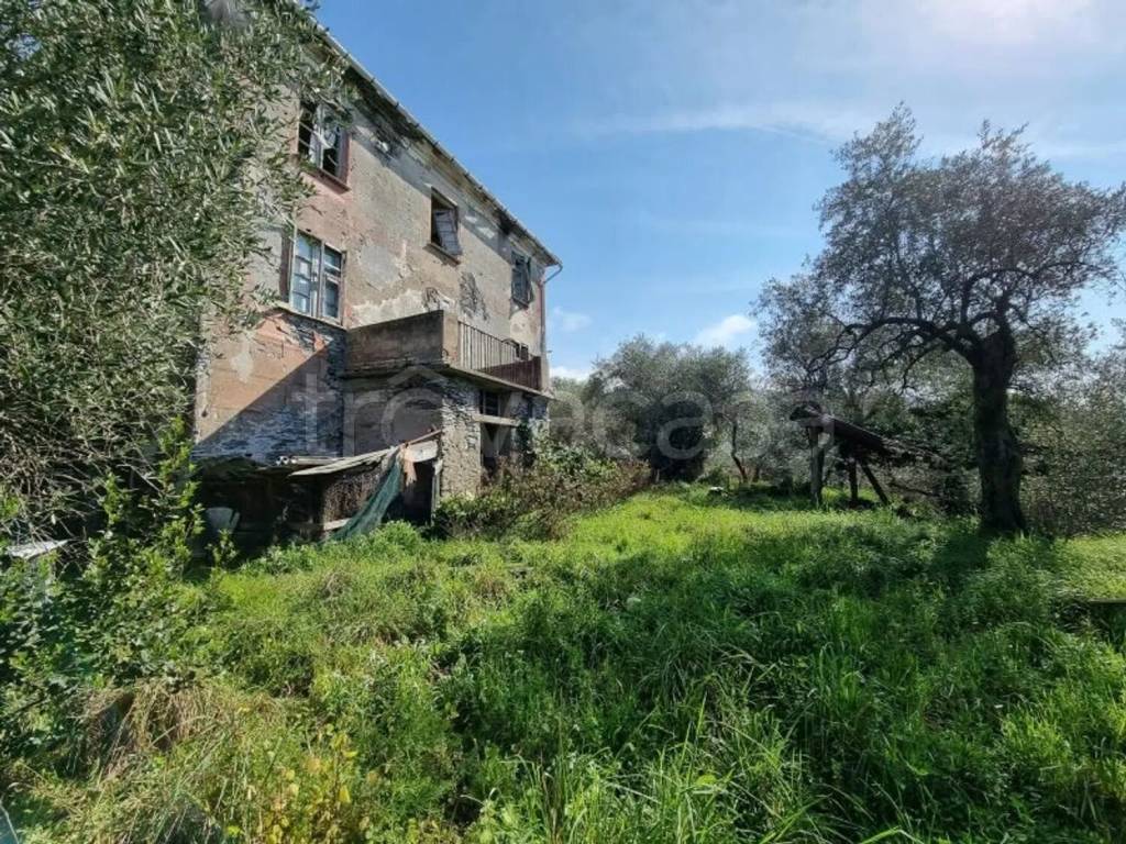 immagine annuncio 5 di 14