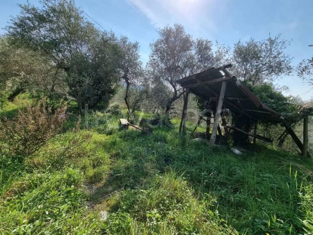 immagine annuncio 6 di 14