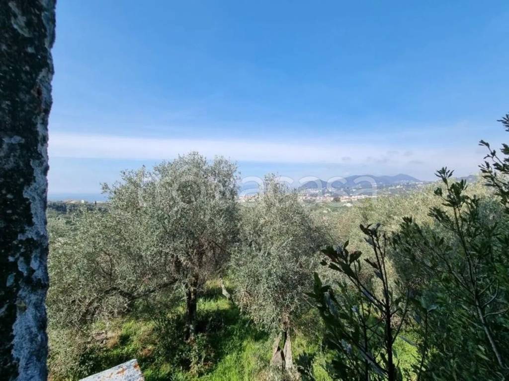 immagine annuncio 11 di 14