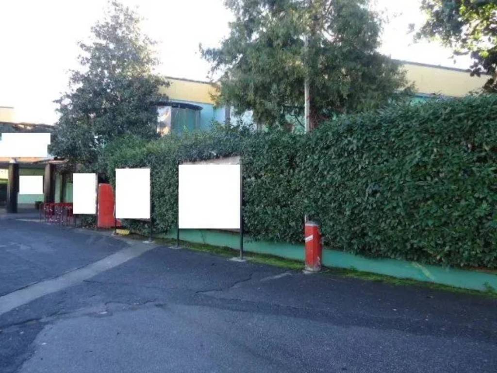 immagine annuncio 5 di 12