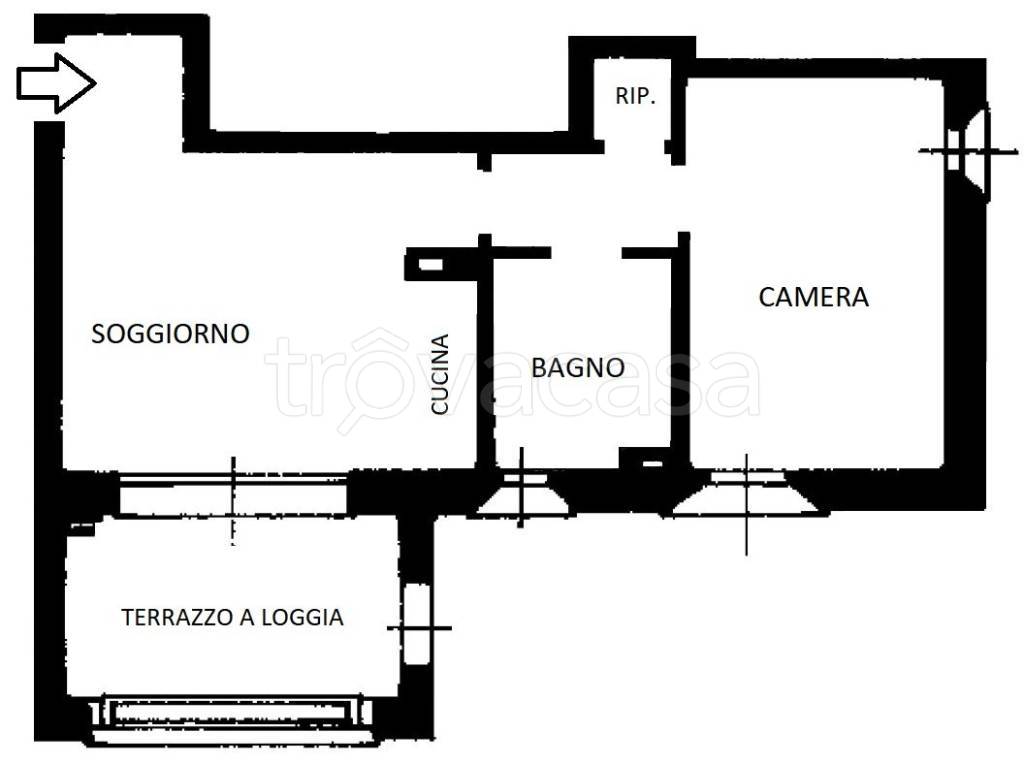 immagine annuncio 1 di 15