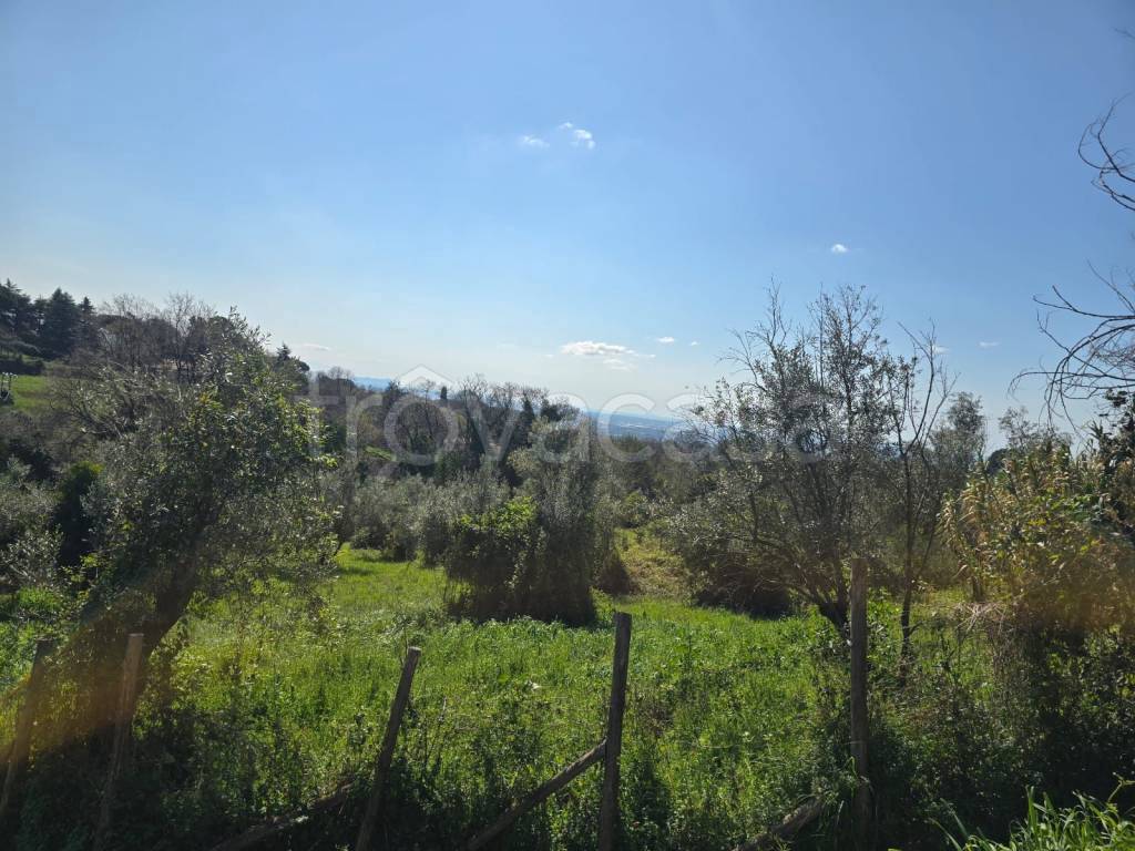 immagine annuncio 2 di 6