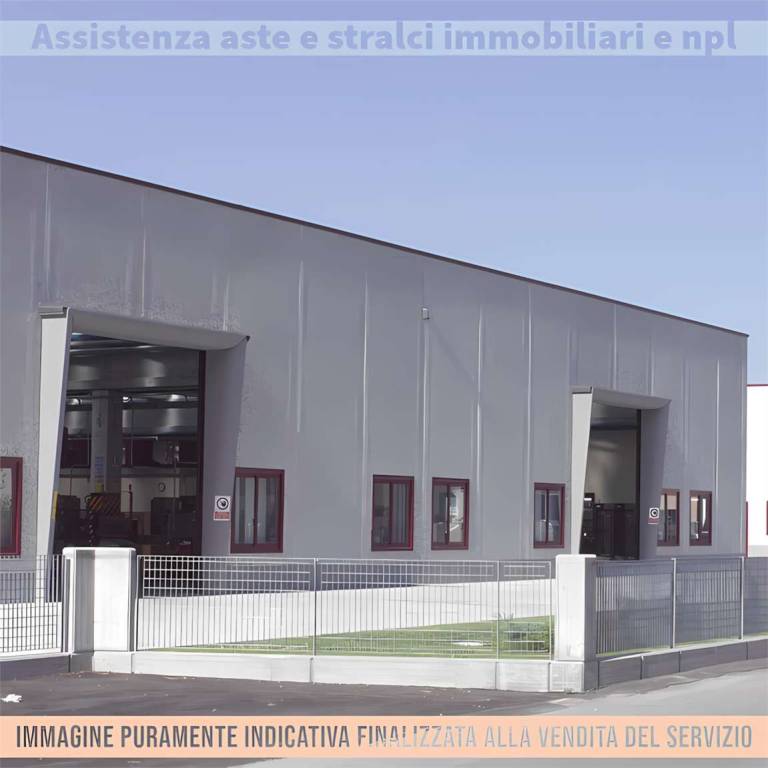 immagine annuncio 6 di 12