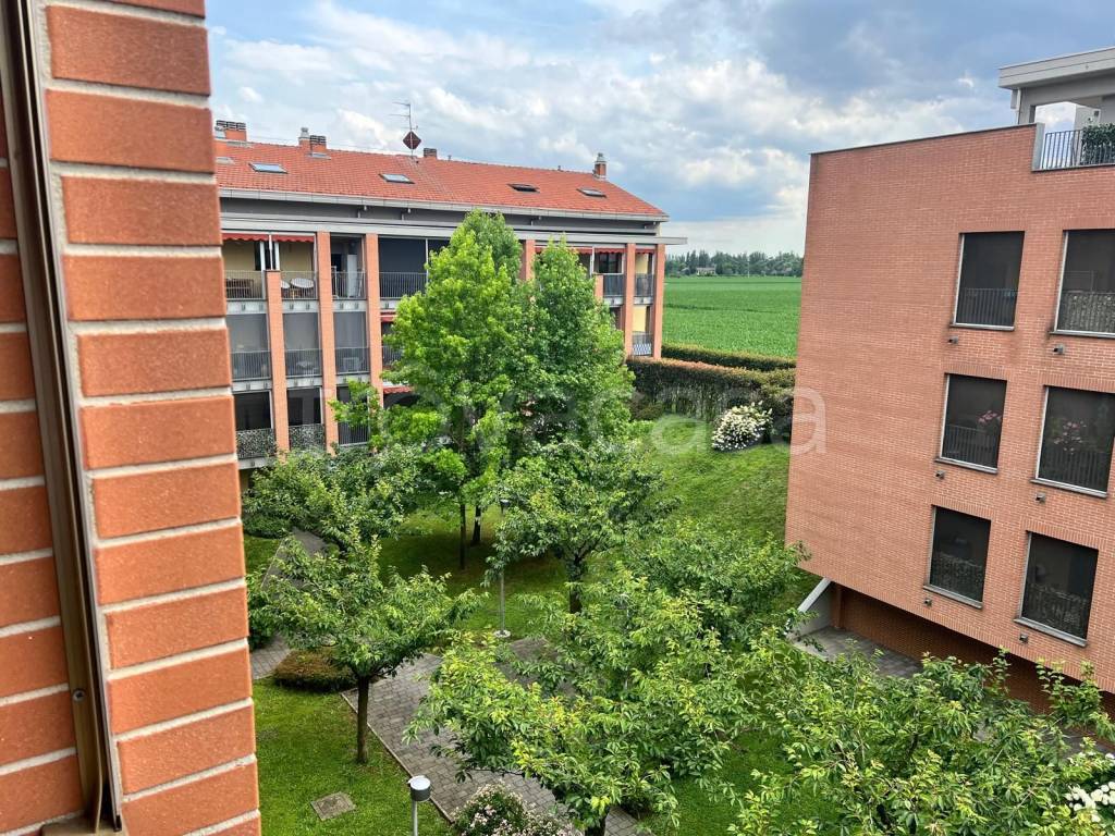 immagine annuncio 5 di 13