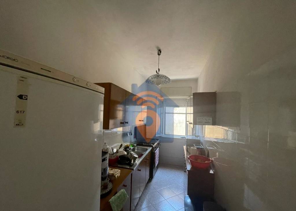 immagine annuncio 5 di 14