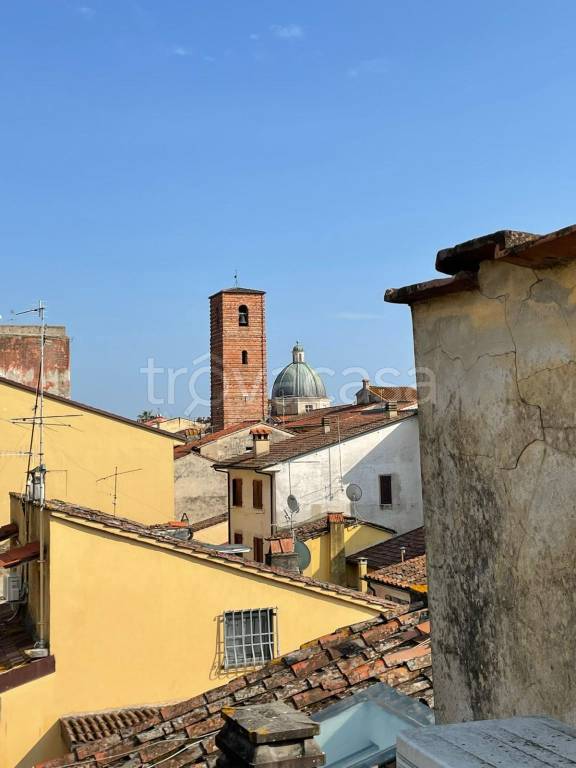 immagine annuncio 11 di 14