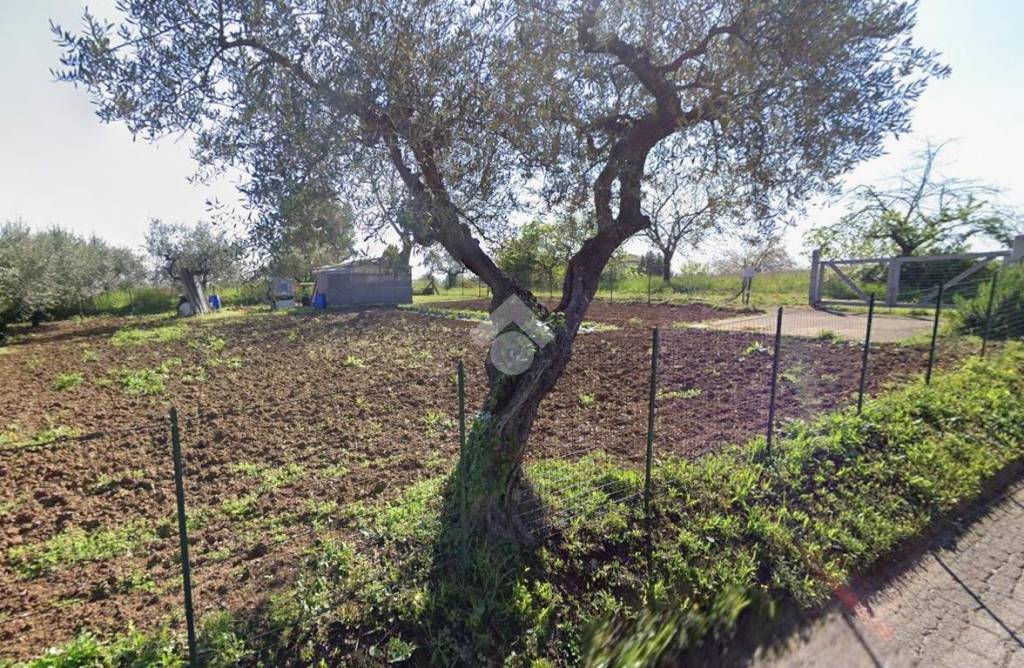 immagine annuncio 1 di 8