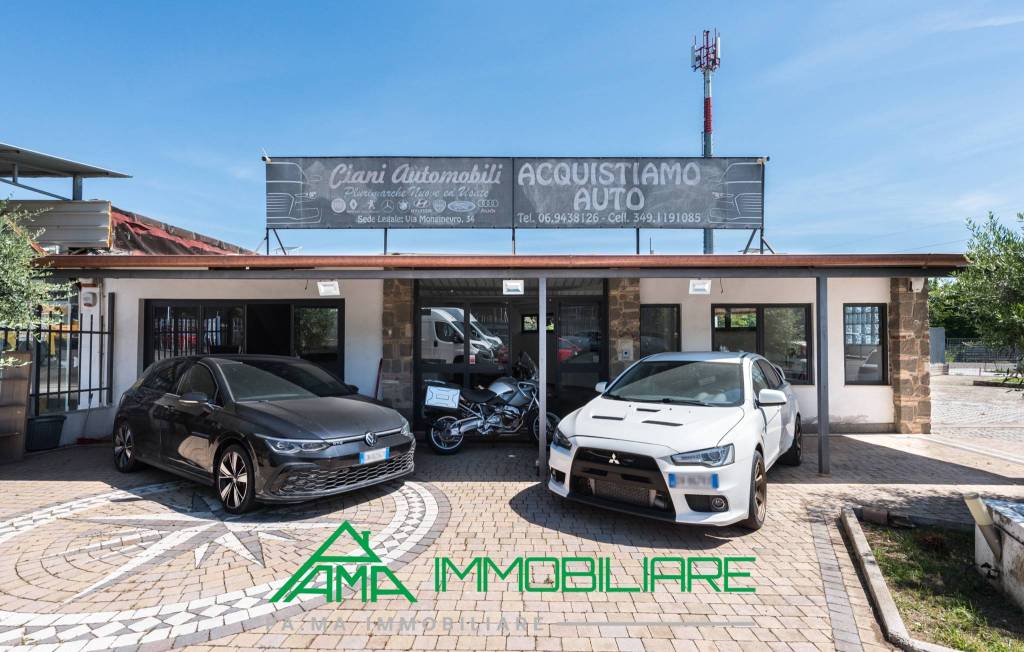 immagine annuncio 12 di 13