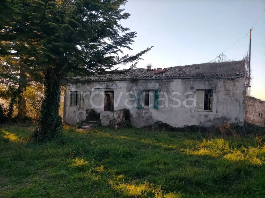 immagine annuncio 1 di 6