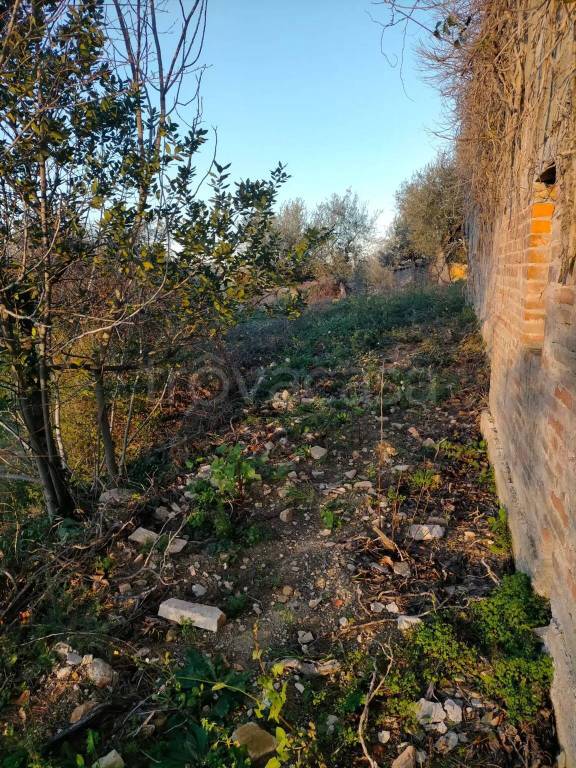 immagine annuncio 2 di 6