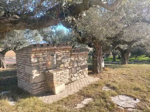 immagine annuncio 3 di 7