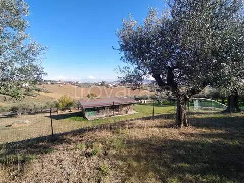 immagine annuncio 5 di 7