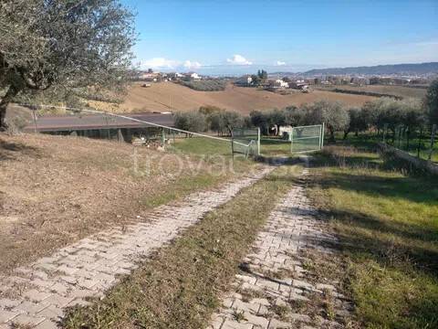 immagine annuncio 6 di 7