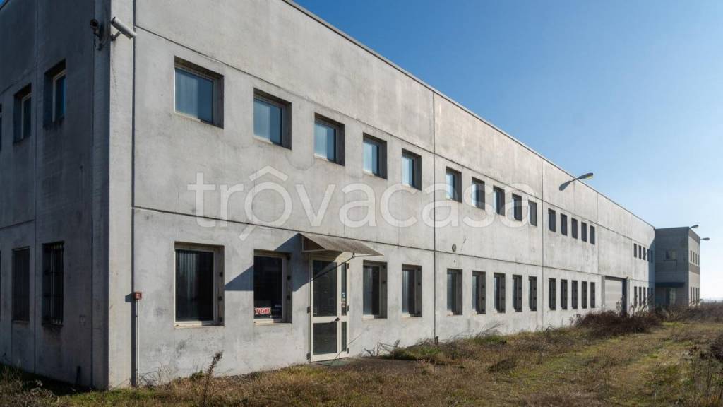 immagine annuncio 1 di 11