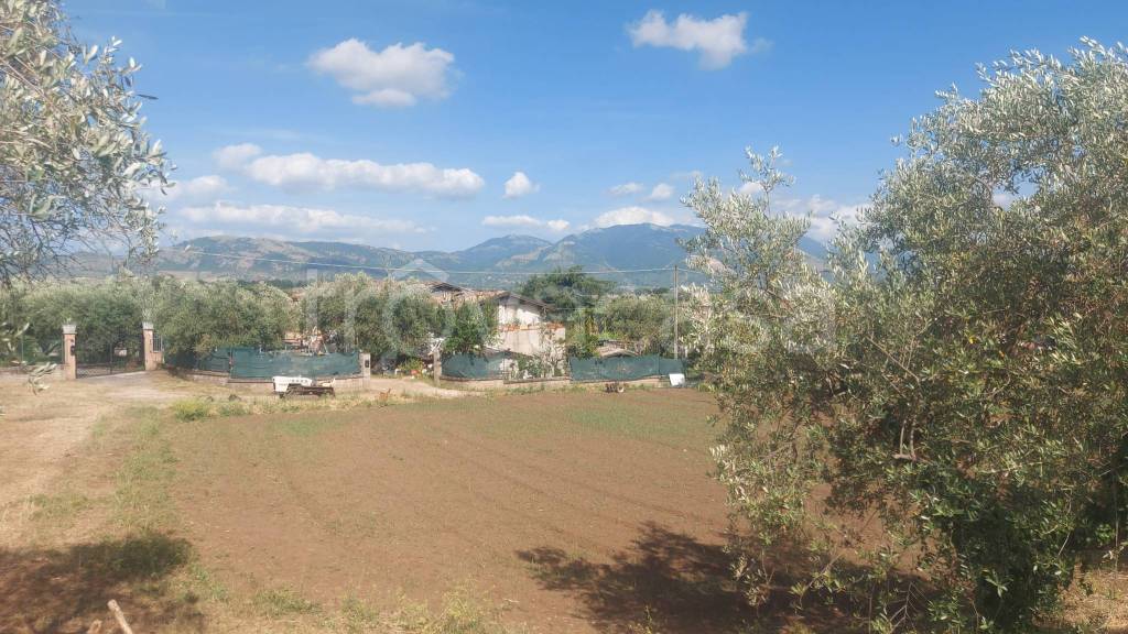 immagine annuncio 9 di 12