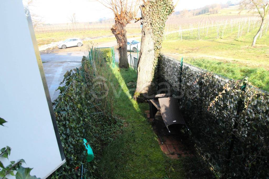immagine annuncio 12 di 14