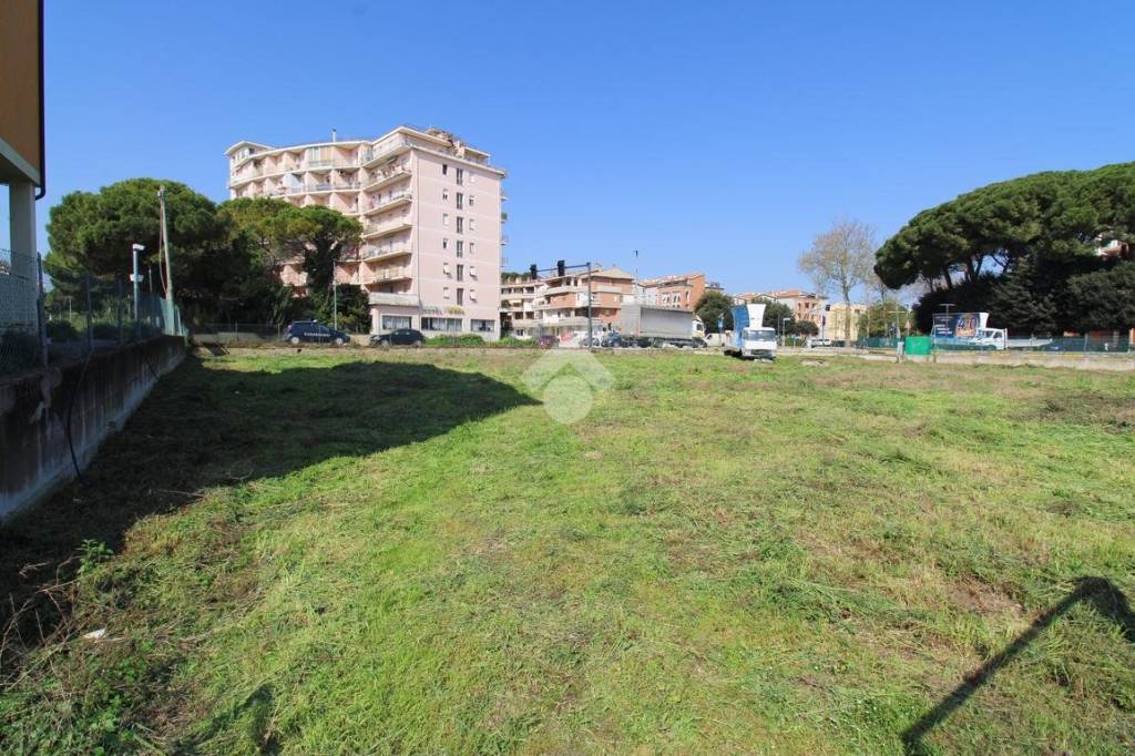 immagine annuncio 5 di 12