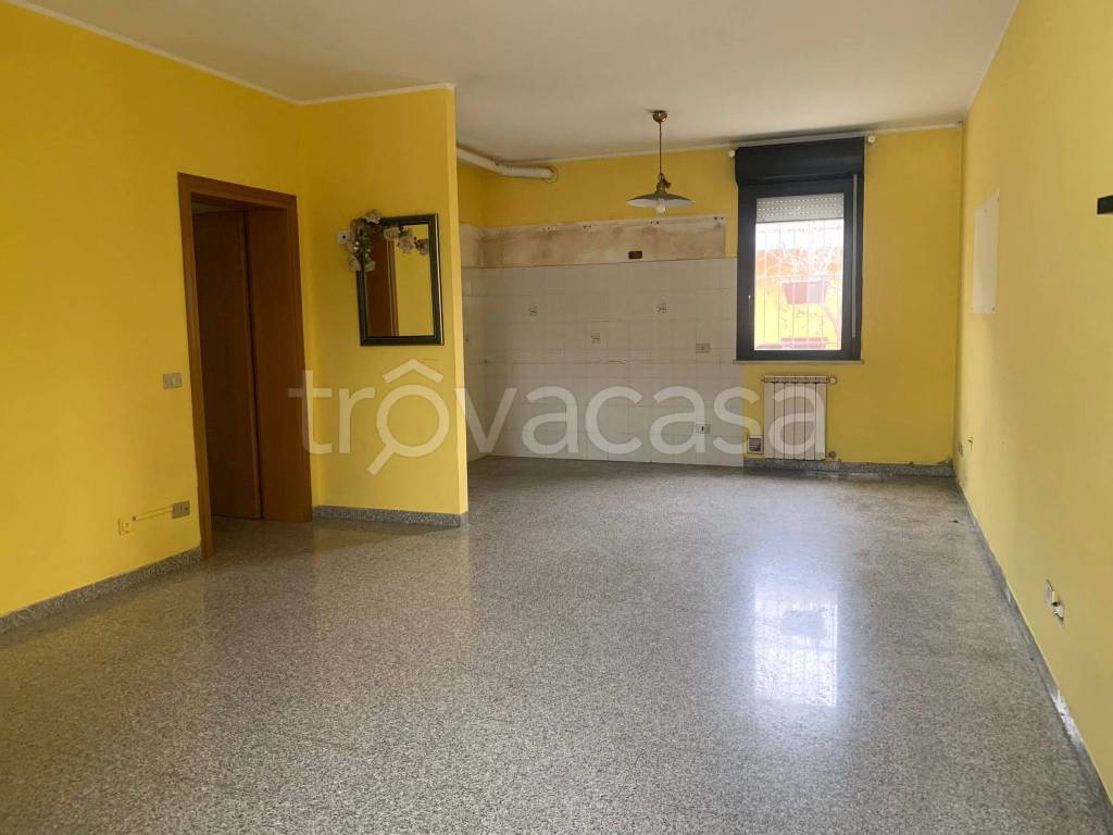 immagine annuncio 1 di 8