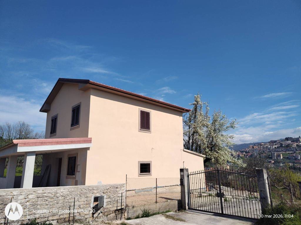 immagine annuncio 2 di 8