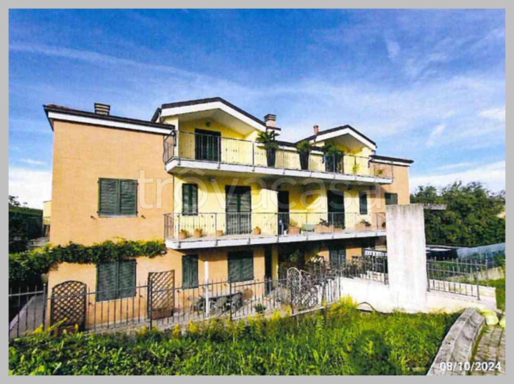 immagine annuncio 14 di 15