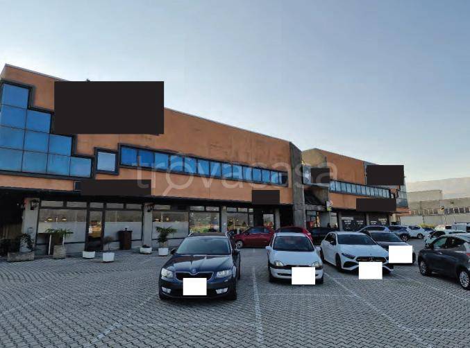 immagine annuncio 4 di 14