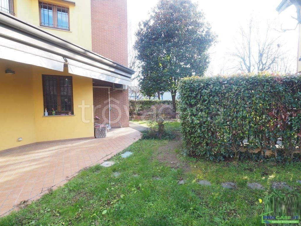 immagine annuncio 5 di 15