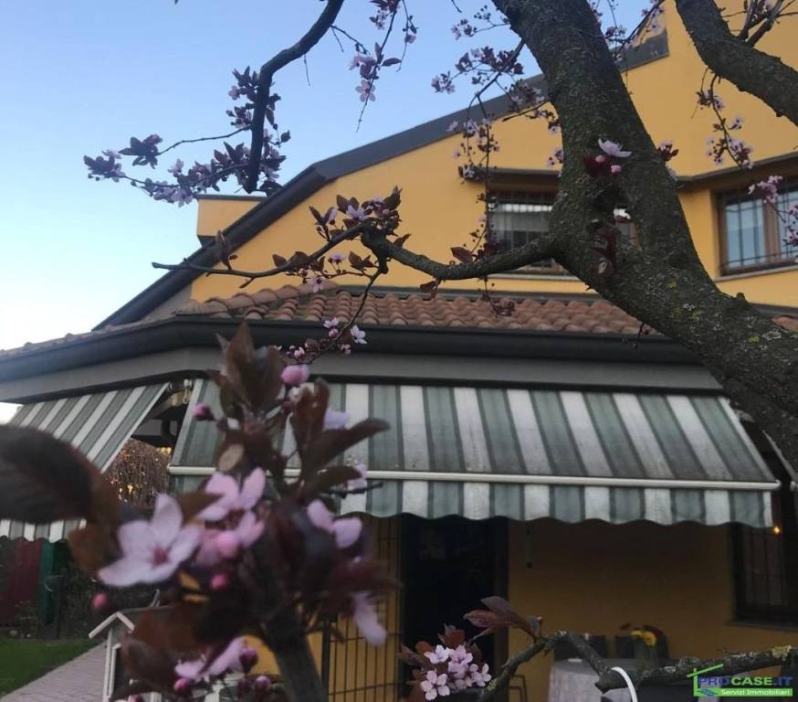 immagine annuncio 8 di 15