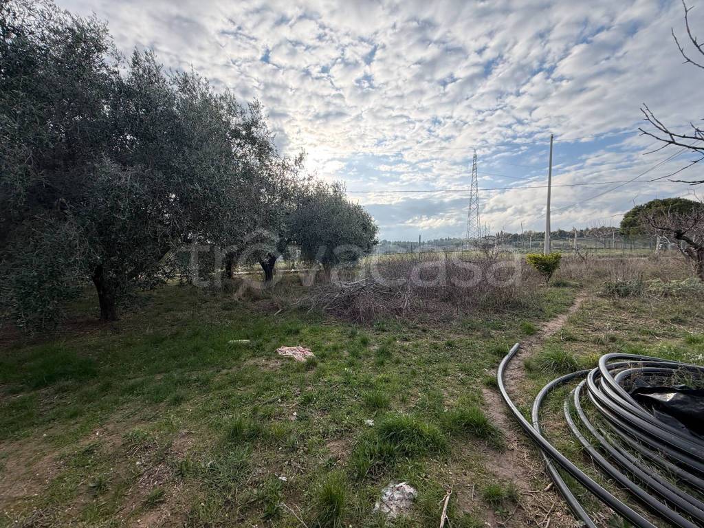 immagine annuncio 7 di 13
