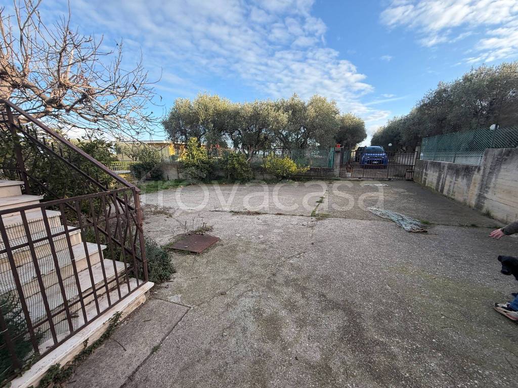 immagine annuncio 10 di 13