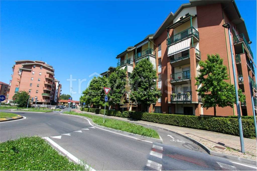 immagine annuncio 8 di 15
