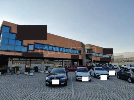 immagine annuncio 2 di 7