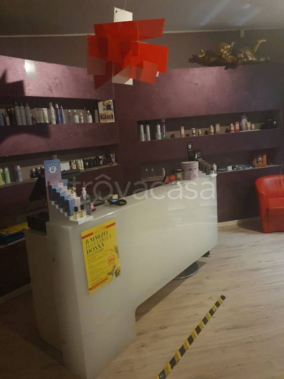 immagine annuncio 3 di 12
