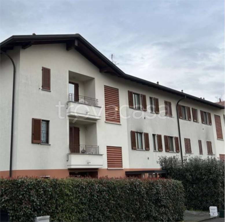 immagine annuncio 2 di 13