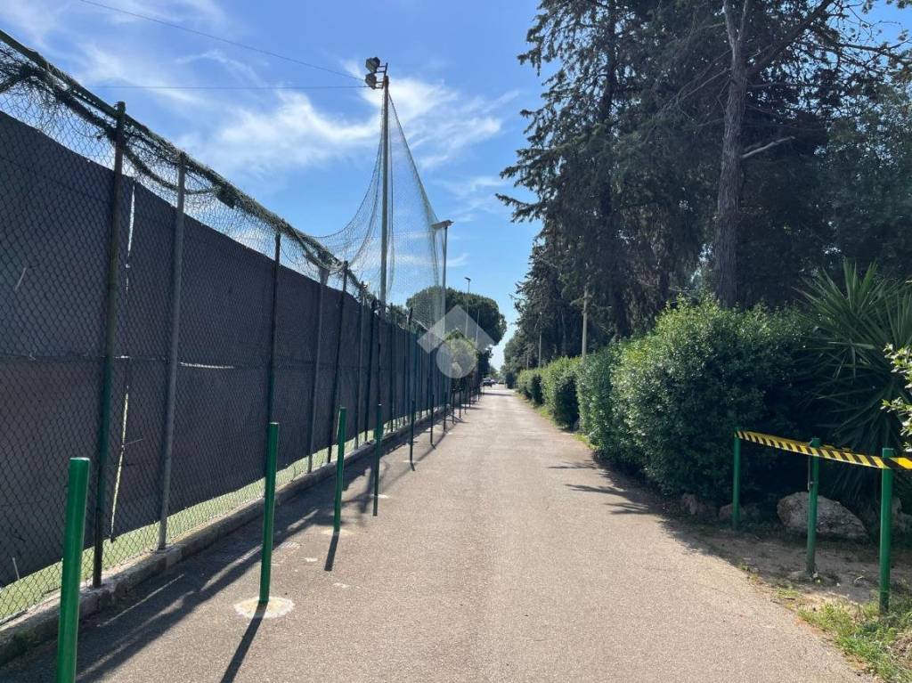immagine annuncio 4 di 9