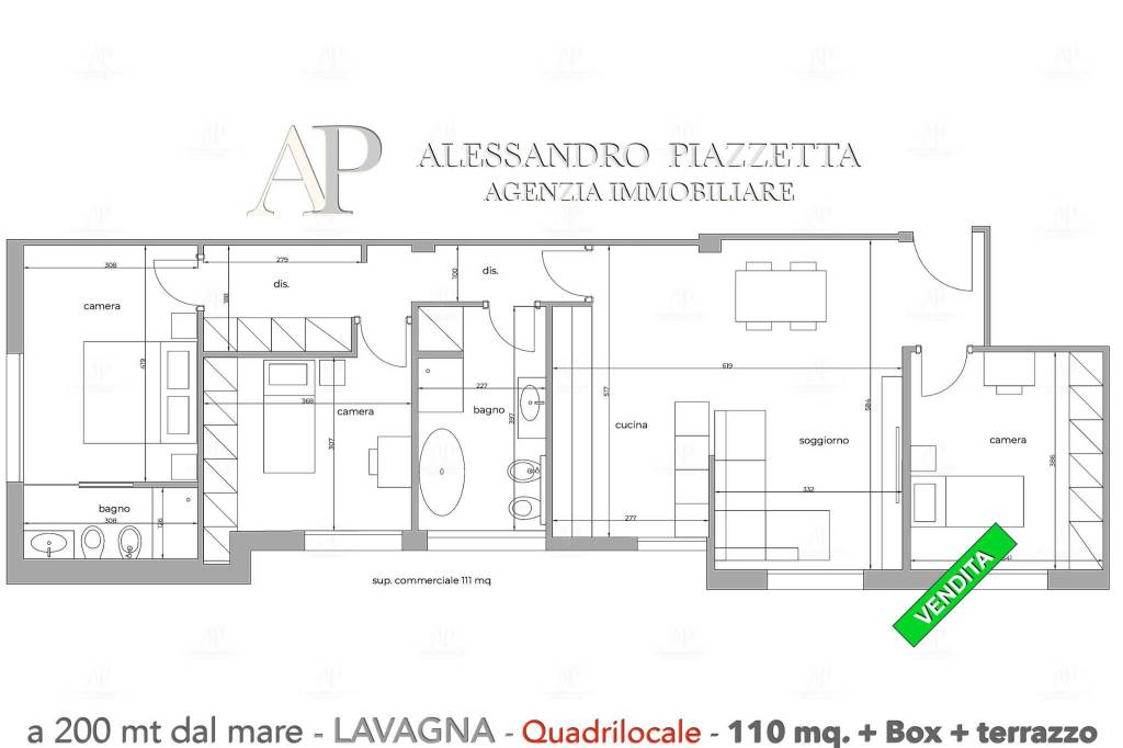 immagine annuncio 12 di 15