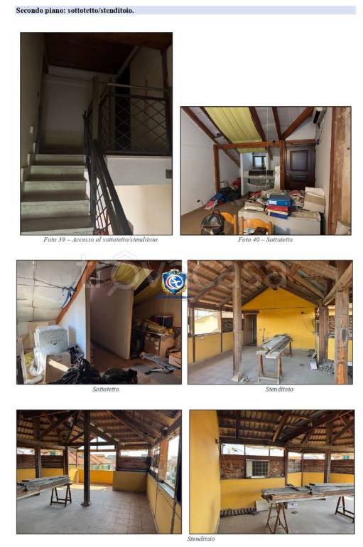 immagine annuncio 10 di 14
