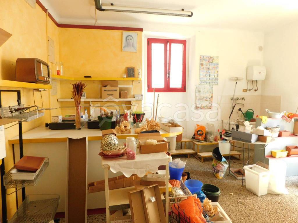 immagine annuncio 4 di 12