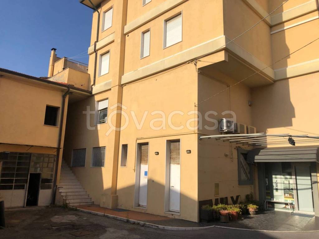 immagine annuncio 1 di 14