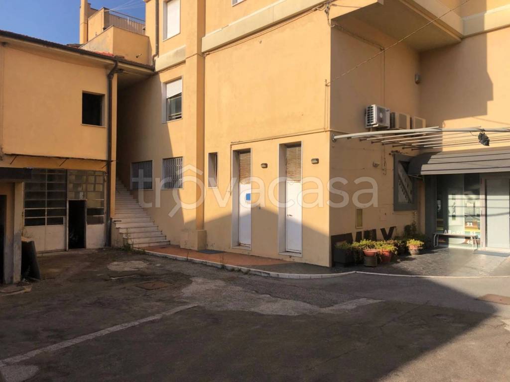 immagine annuncio 2 di 14