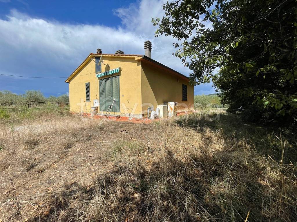 immagine annuncio 3 di 7