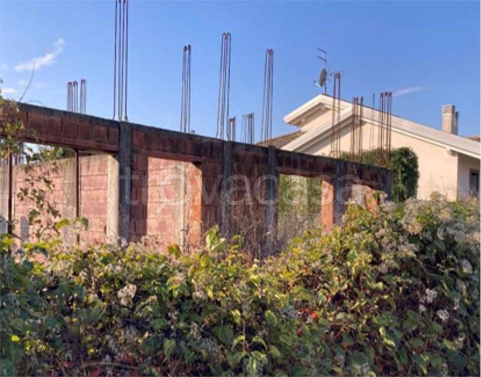 immagine annuncio 9 di 12