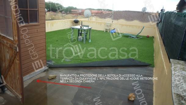 immagine annuncio 9 di 12