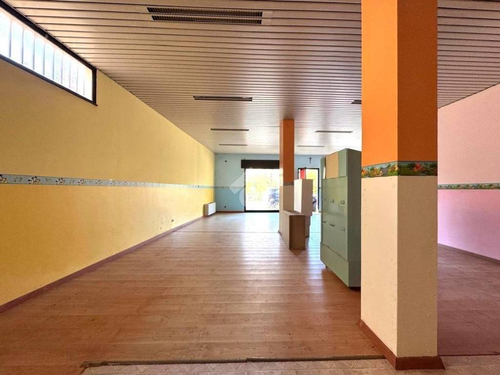 immagine annuncio 4 di 12